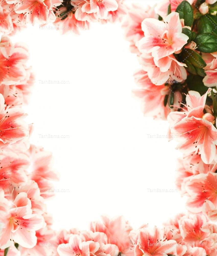 تصاویر پس زمینه